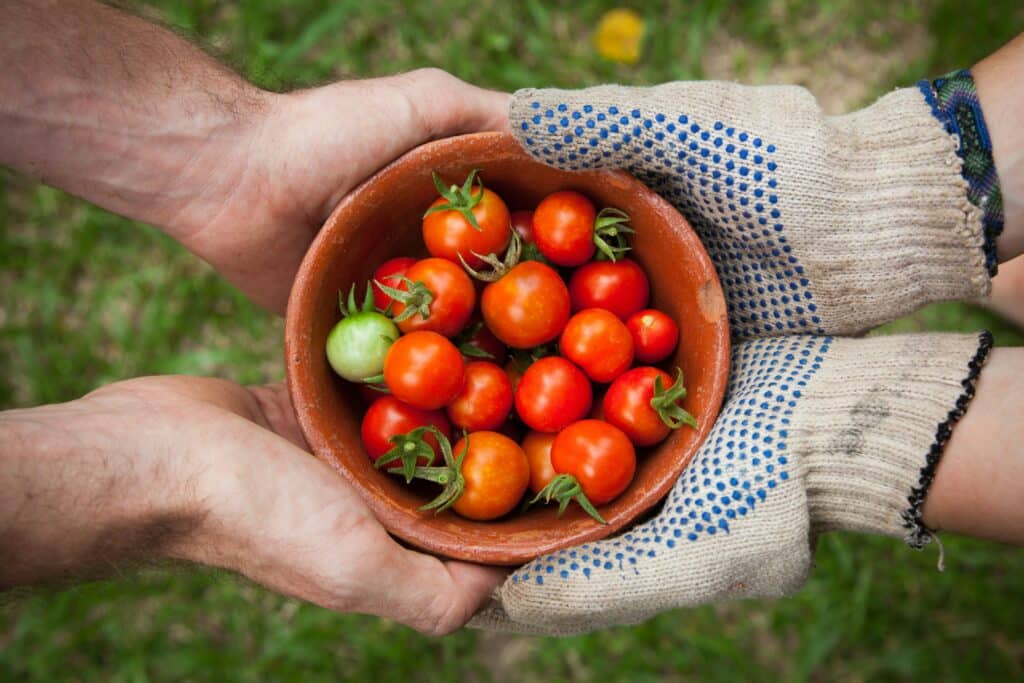 Food Safety Monitoring